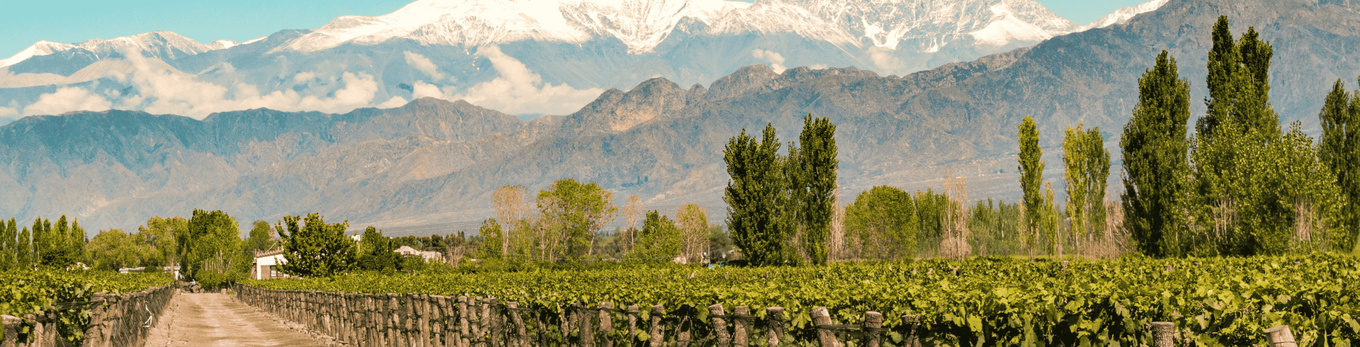 Mendoza - Pacote Carnaval 